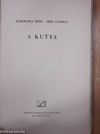 A kutya