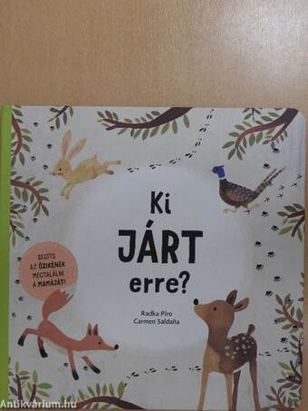 Ki járt erre?