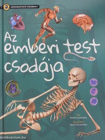 Az emberi test csodája