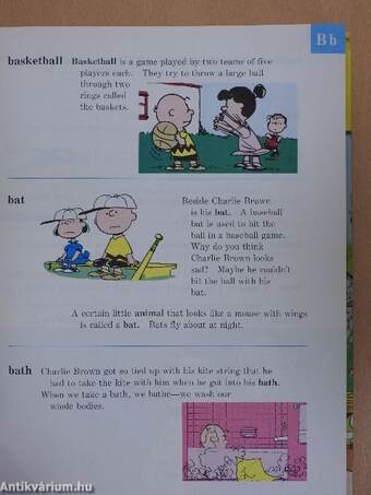 The Charlie Brown Dictionary