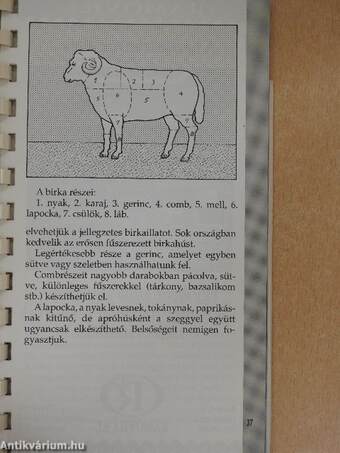 Mindenféle husik