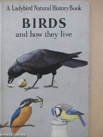 Birds and How They Live