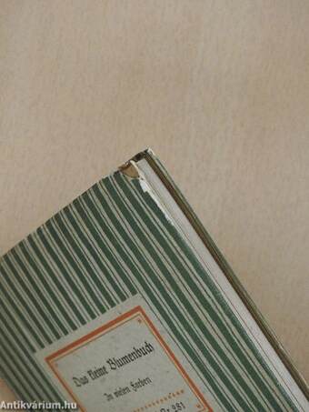 Das kleine Blumenbuch (gótbetűs)