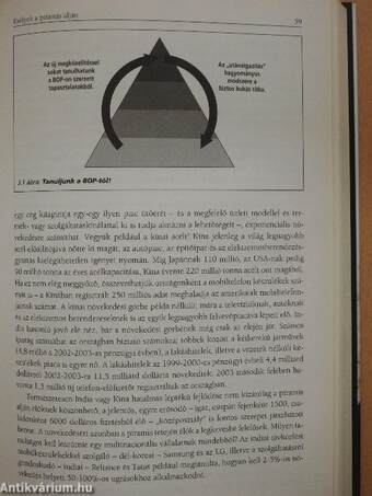 Esélyek a piramis alján - CD-vel