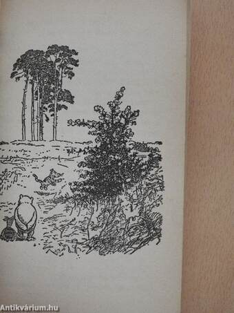 The House at Pooh Corner