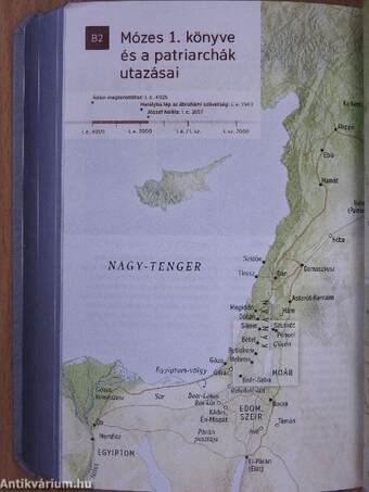 Szentírás - Új világ fordítás