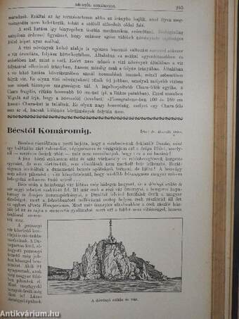 Ifjúság és Élet 1928. szeptember 10.-1929. június 25.