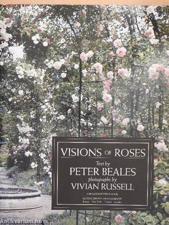 Visions of Roses