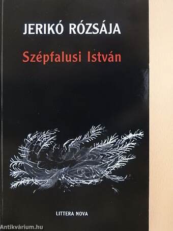 Jerikó rózsája