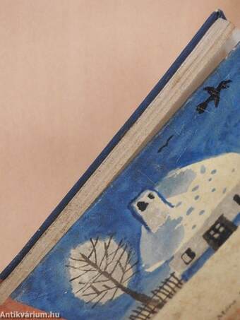 Kincskereső kisködmön