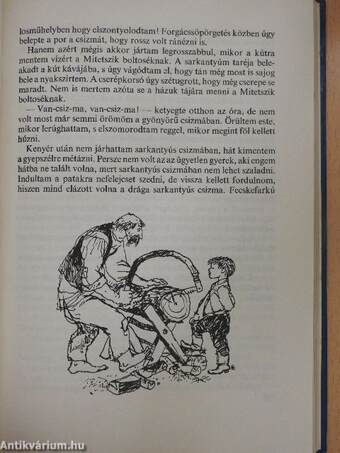 Kincskereső kisködmön