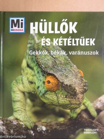 Hüllők és kétéltűek