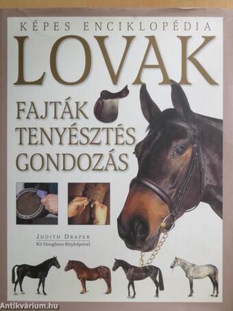 Lovak