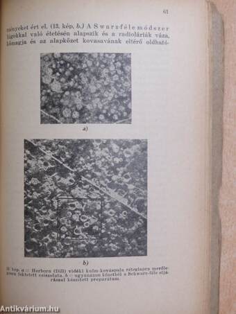 Ősmaradványok gyüjtése, konzerválása és preparálása