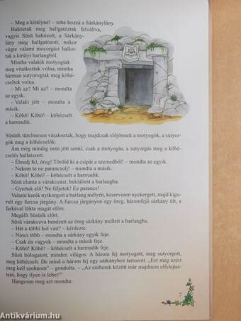 Süsüke a sárkánygyerek