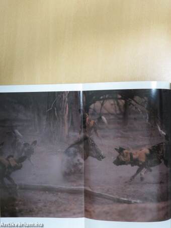 National Geographic May 1999