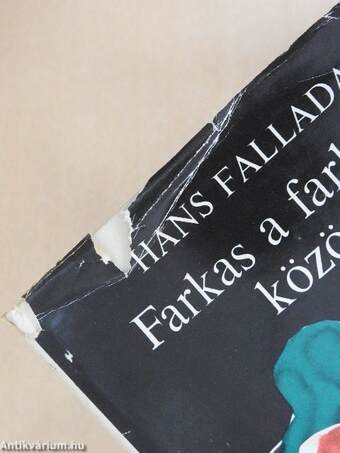 Farkas a farkasok között