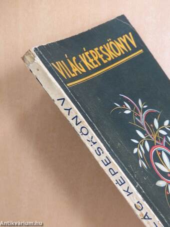 Világ-képeskönyv 1933