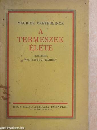 A termeszek élete