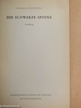 Die schwarze Spinne