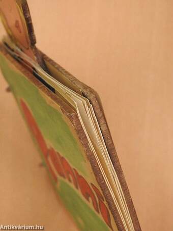 Panni (egyedi készítésű öltöztetőkönyv)