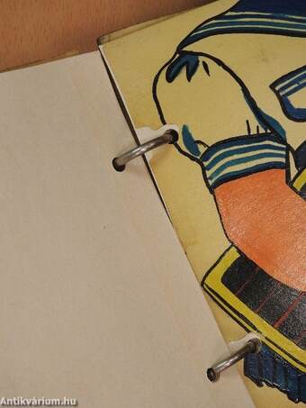 Panni (egyedi készítésű öltöztetőkönyv)