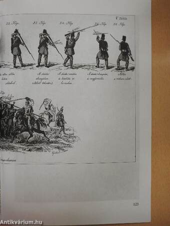 Szenttamástól Világosig