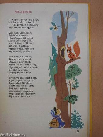 Képes olvasókönyv 3.