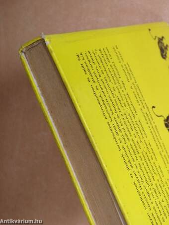 Az állatok társas viselkedése