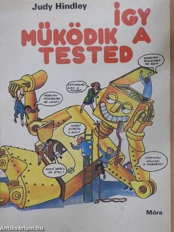 Így működik a tested