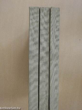 Monte-Cristo grófja I-III.