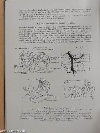 Radiológiai diagnosztika I. (töredék)