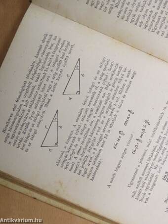 Az ember és a számok