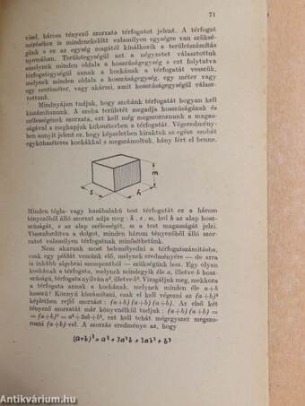 Az ember és a számok