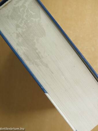 Francia-magyar kéziszótár