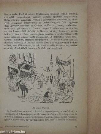 Bálnavadászok a déli Jeges-tengeren