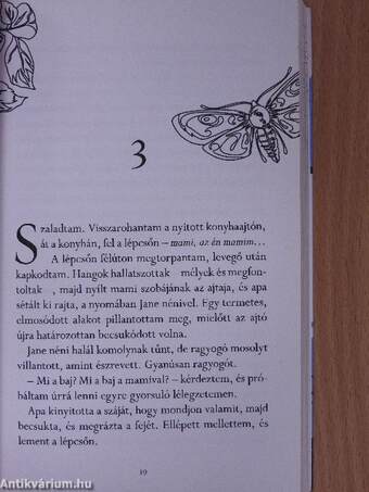 A fülemüleerdő titka