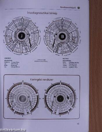 Íriszdiagnosztika egyszerűen