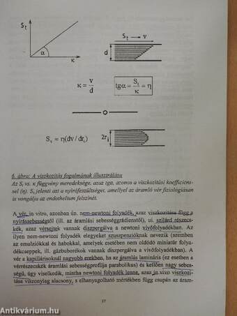 Hemodinamika: A vérkeringés dinamikája