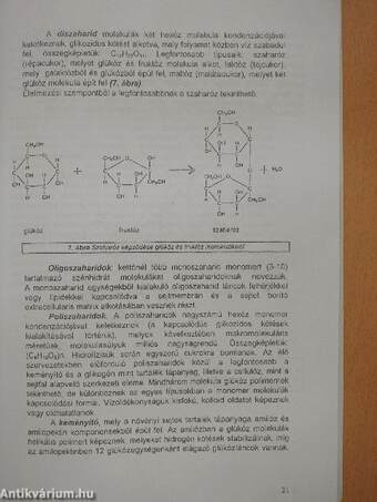 Sejtbiológiai alapok