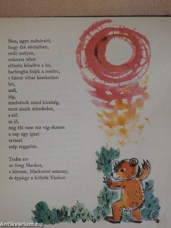 Vackor világot lát