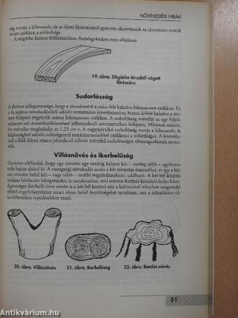 Faipari anyagismeret