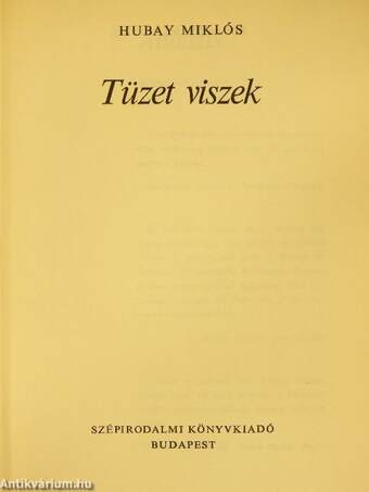 Tüzet viszek