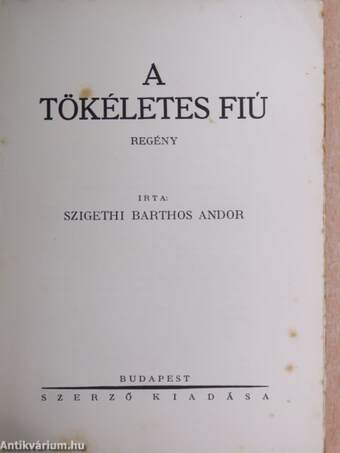 A tökéletes fiú