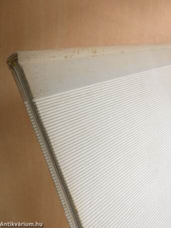 Magyar fotoművészet 1961