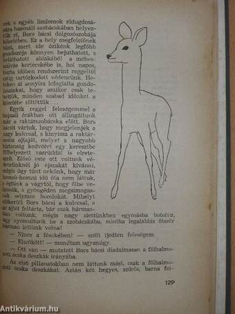 Halász, vadász, madarász