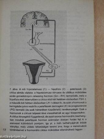 A nő orvosi szemmel