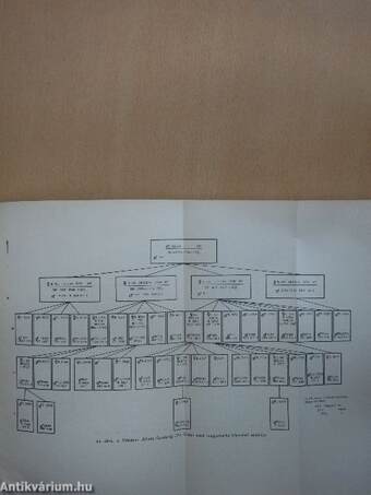 A szarvasmarhatörzskönyvezés évkönyve 1958/59