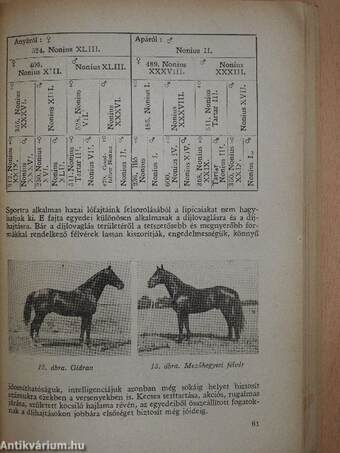 Lovaglás és hajtás