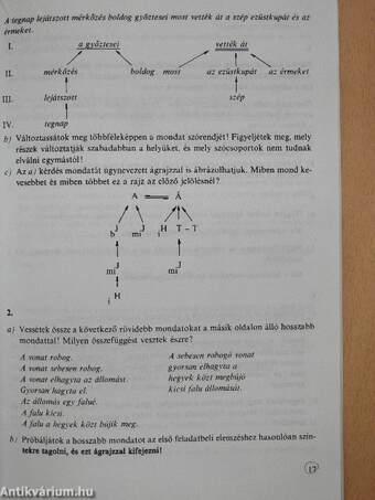 Magyar nyelv II.